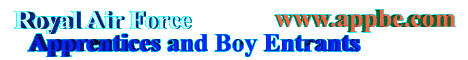 R.A.F Apprentices and Boy Entrants Associations