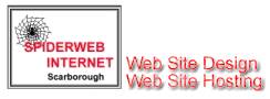 Spiderweb Internet