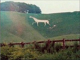 White Horse